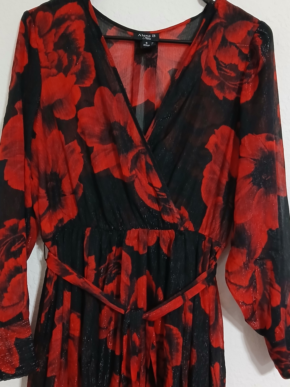 Alexa B Floral Maxi Dress in Red & Black Size 6 Like New